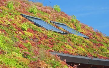 West Kington Wick living roof systems