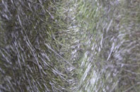 West Kington Wick fibreglass roof work